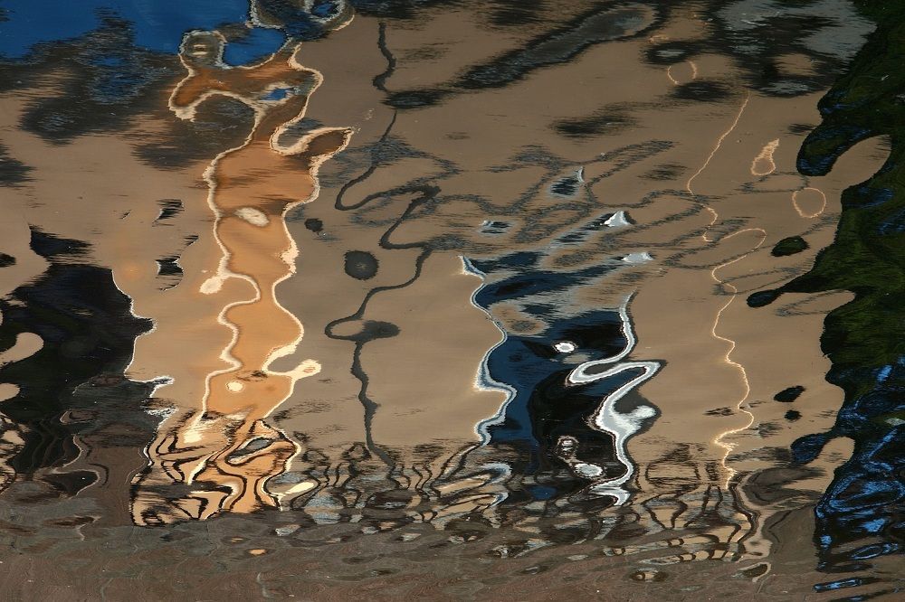 Сон разума...