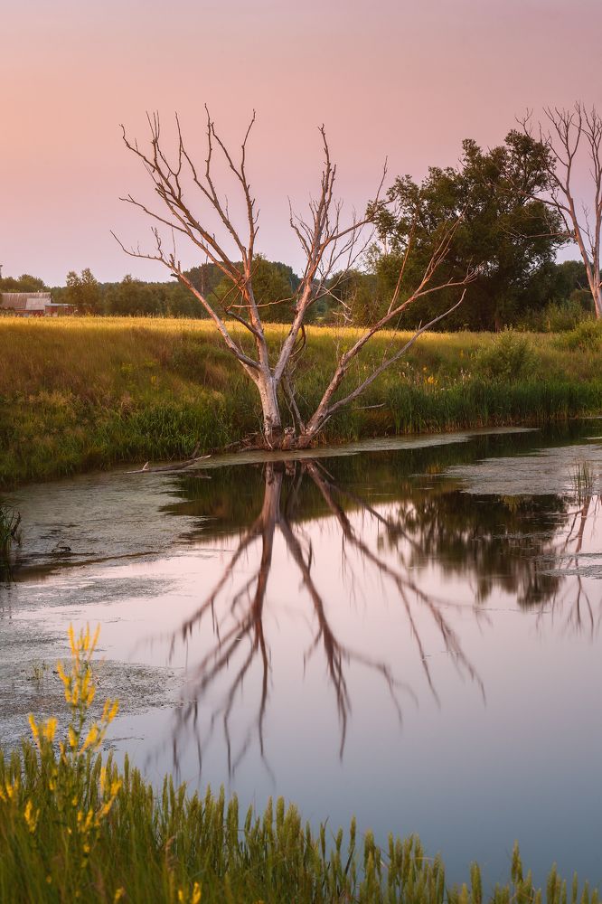 Photograph by Евгений Бичёв