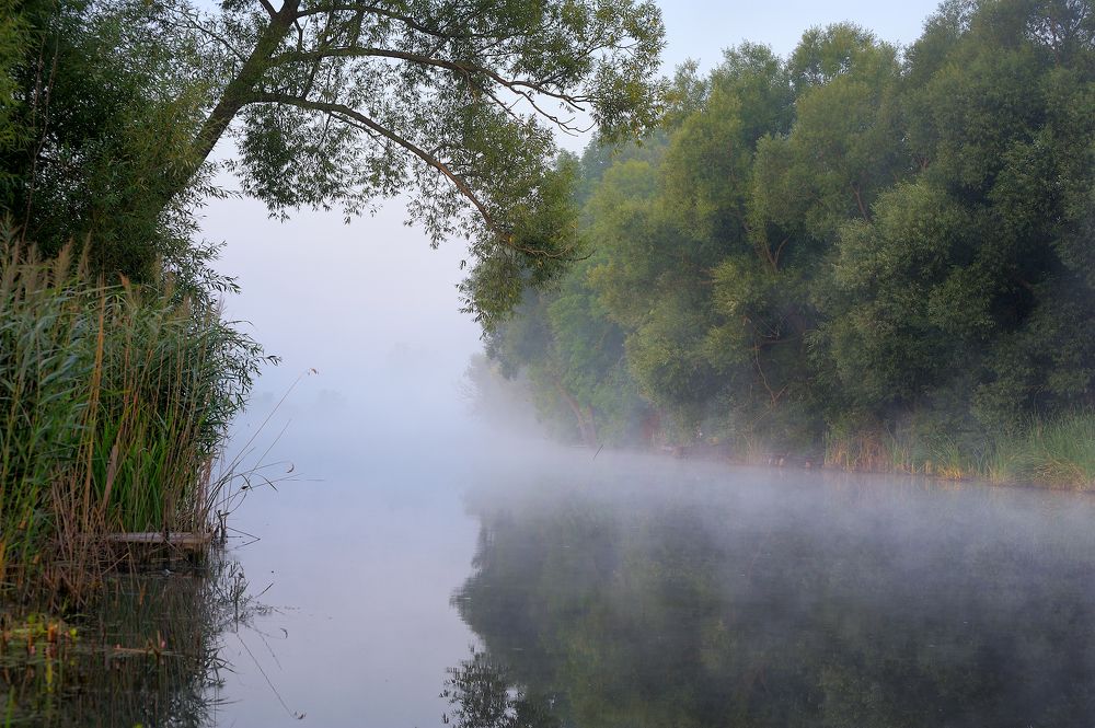 Photograph by Евгений Бичёв
