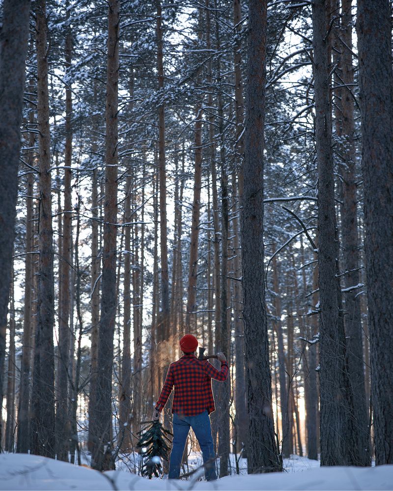 Photograph by Александра Кожухова