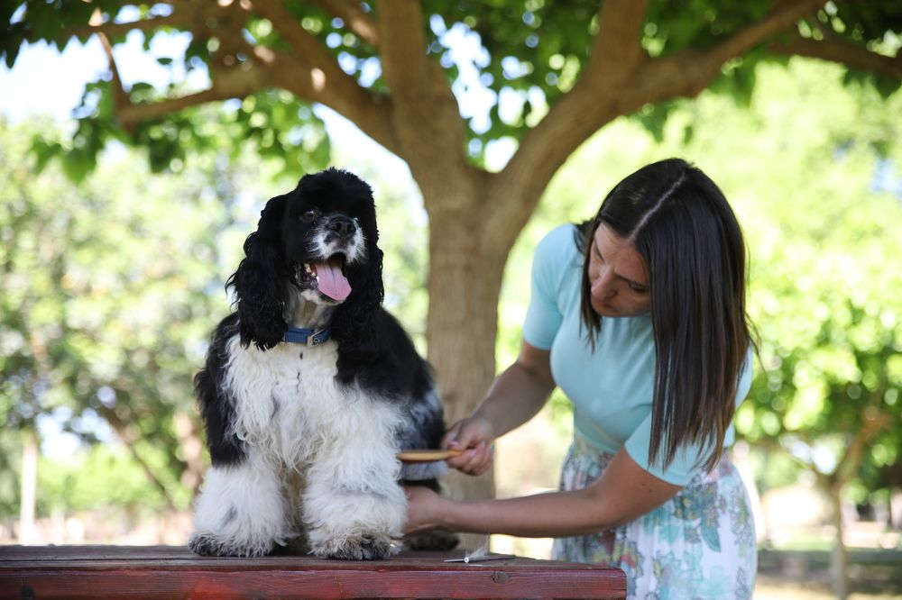 Photograph by Алексей Колоти