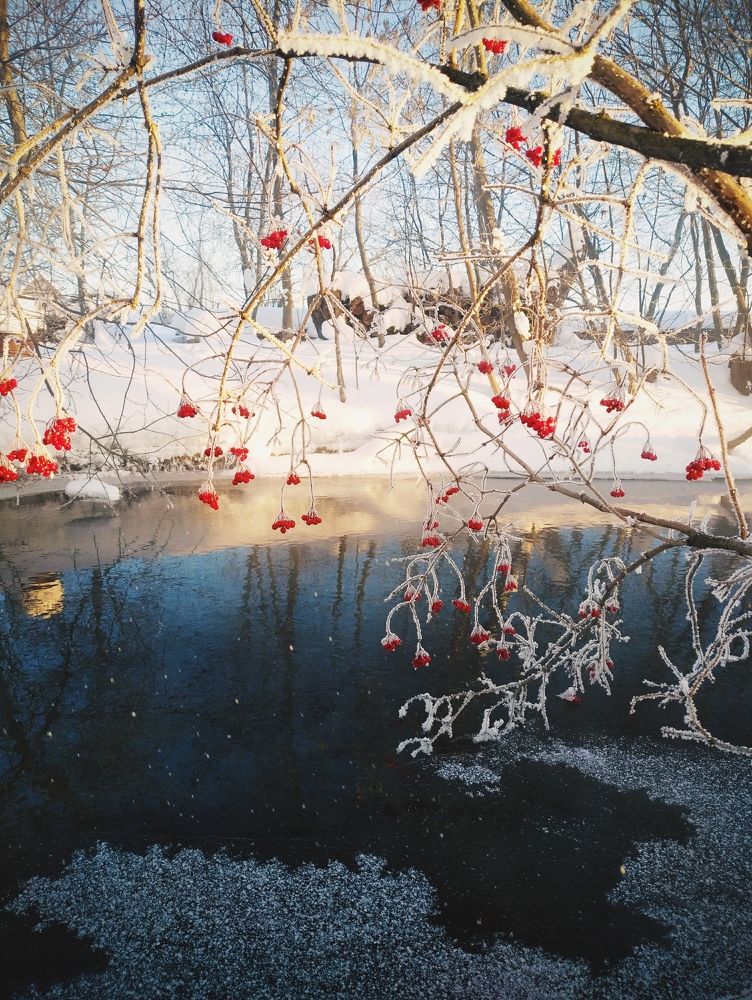 Photograph by Наталья Минина