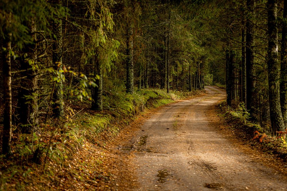 Photograph by Yana Raaga