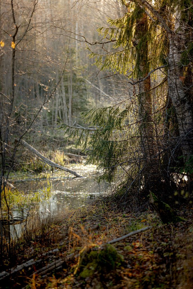 Photograph by Yana Raaga