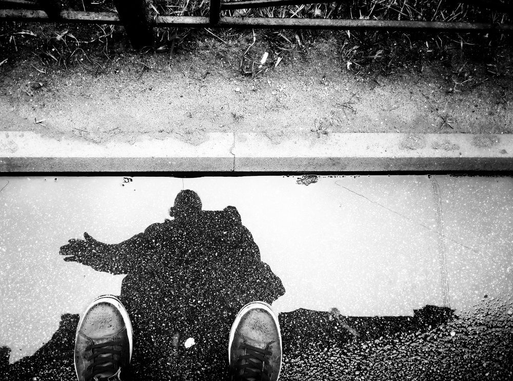 Photo #7042175