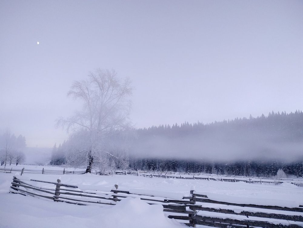 Photograph by Наталья Минина