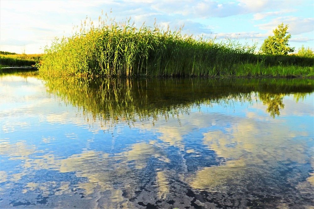 Photograph by Родосская Нонна