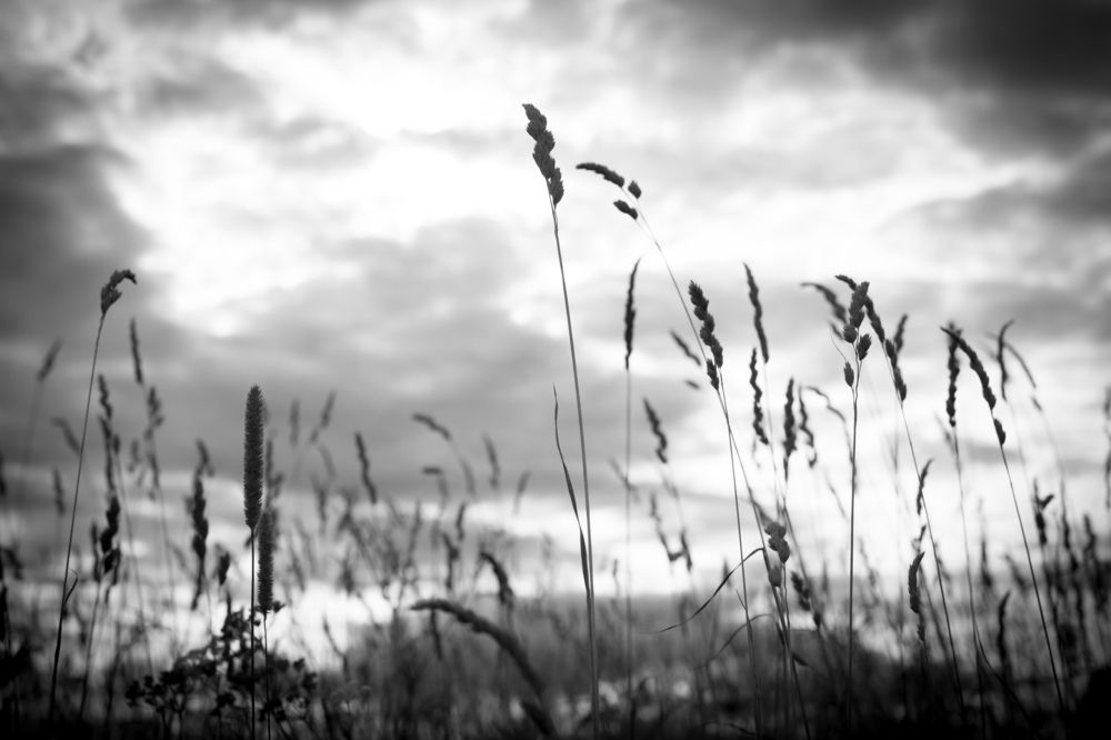 Photograph by Огаркова яна