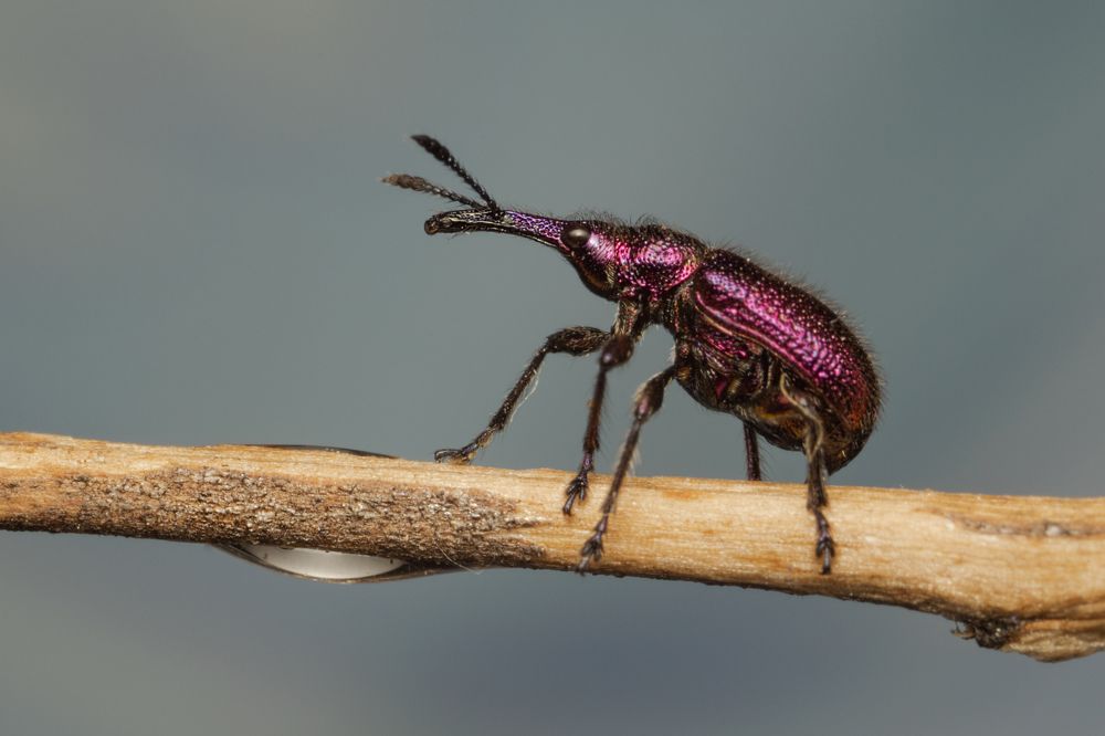 Photograph by Денис Ветренко