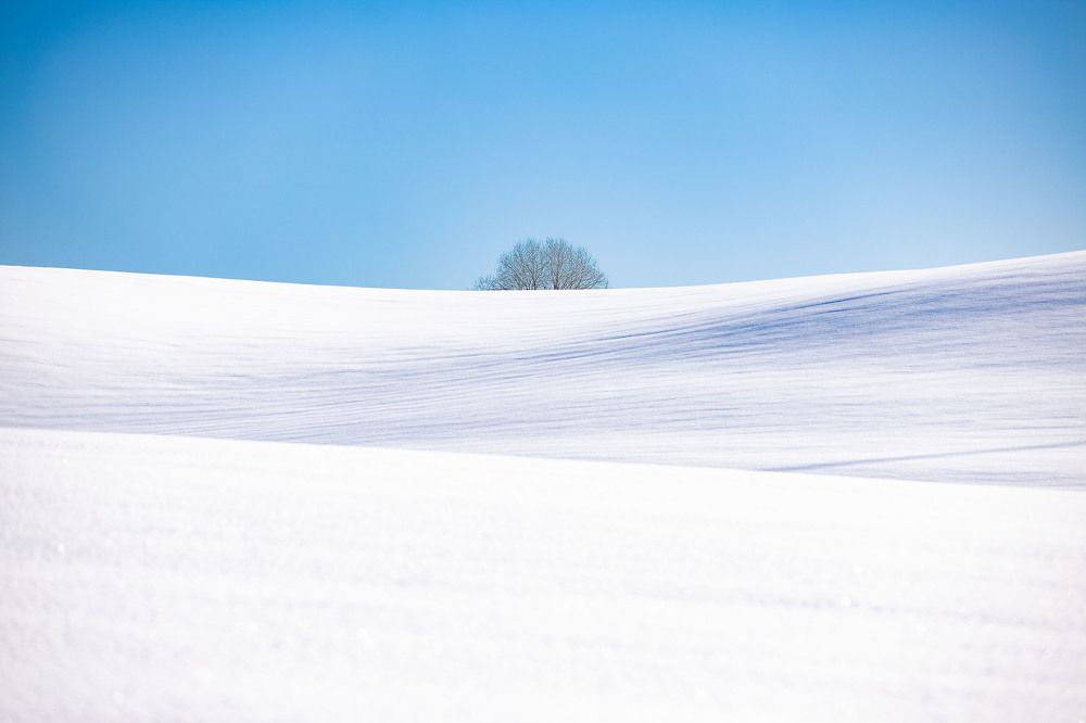 Photograph by Yana Raaga