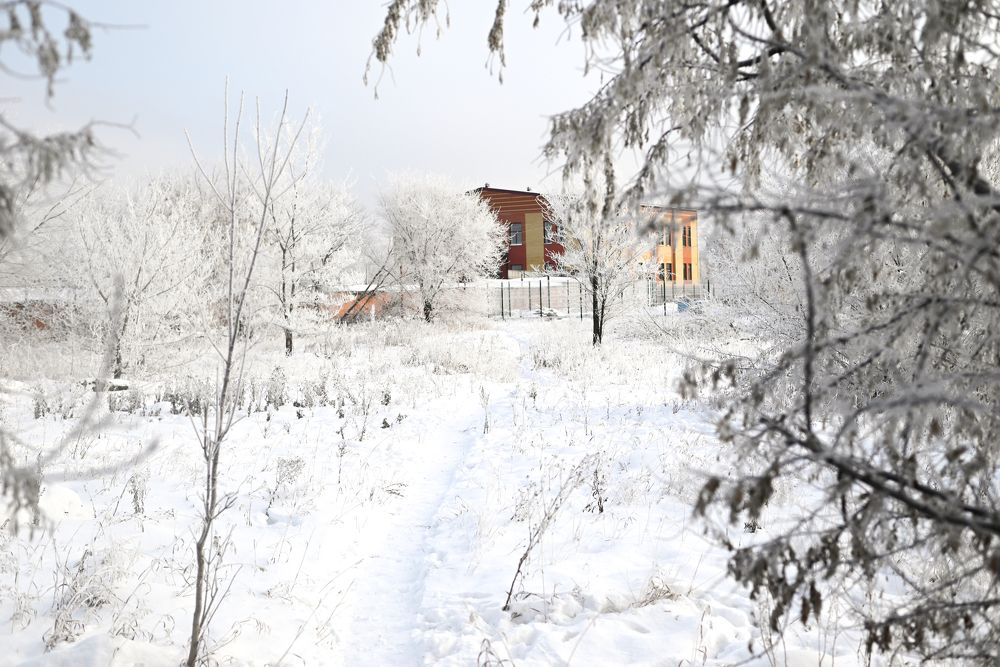 Photograph by Светлана Вербицкая