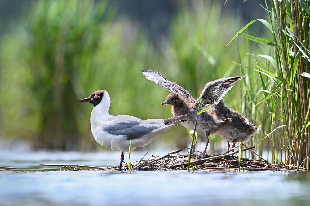 Photograph by Чернобай Анна