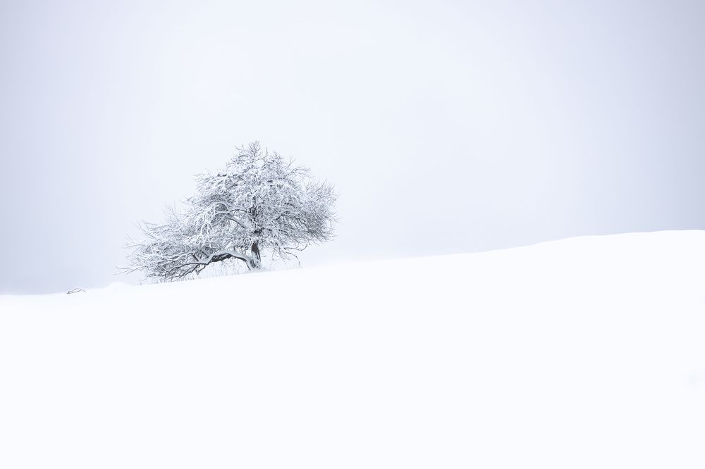 Photograph by Yana Raaga