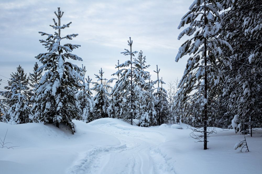 Photograph by Артём Байдаков