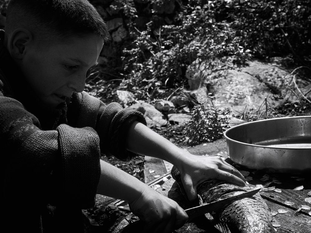 Photograph by Andrea