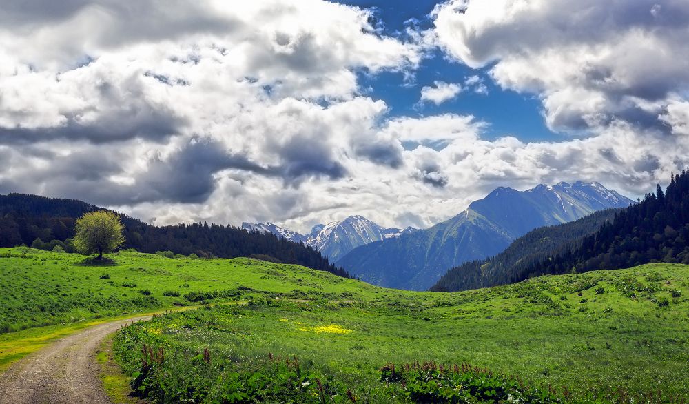 Photograph by Максим Митченко