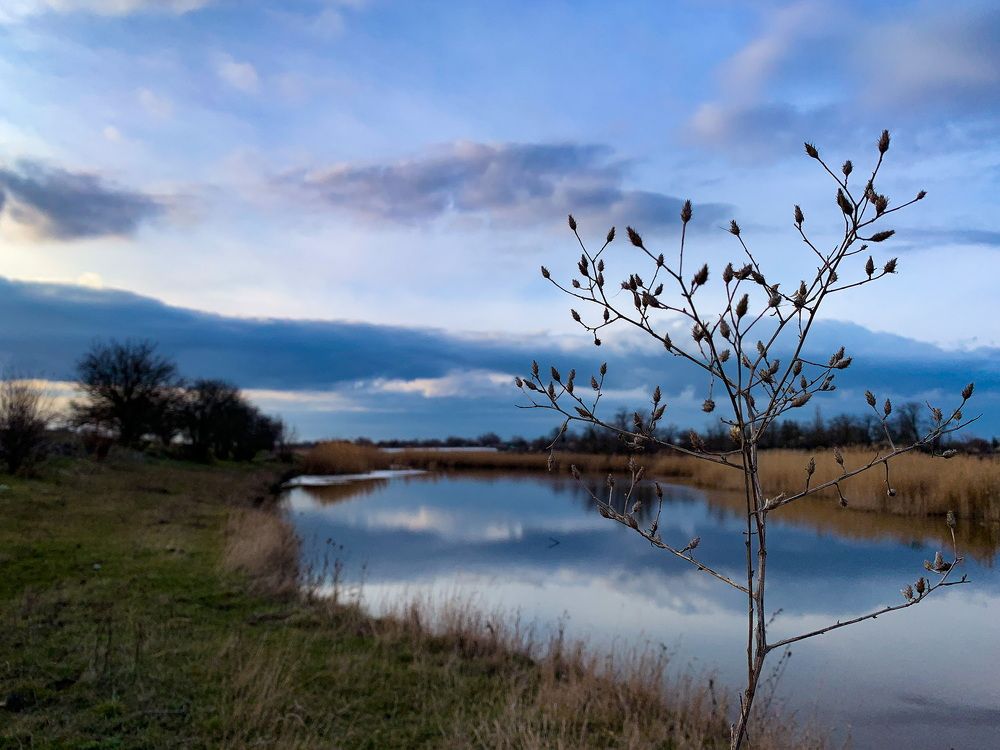 Photograph by Наталья Лебеденко
