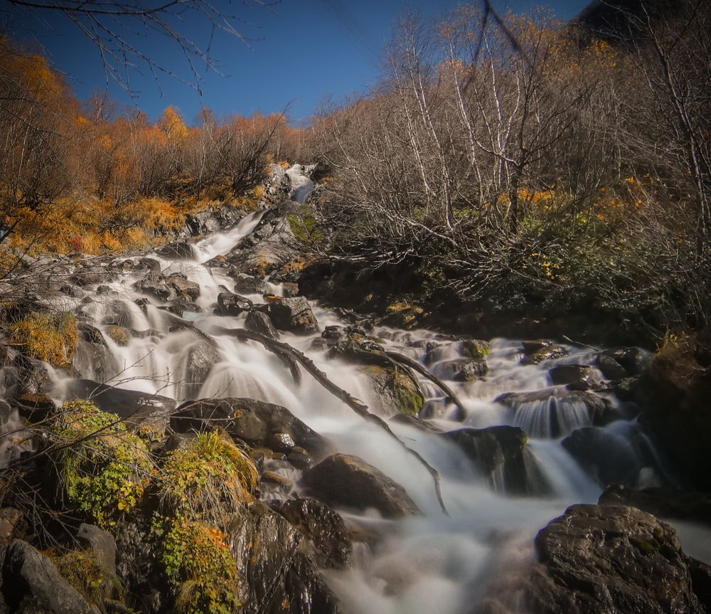 Фотография автора OXANA MARSOVA