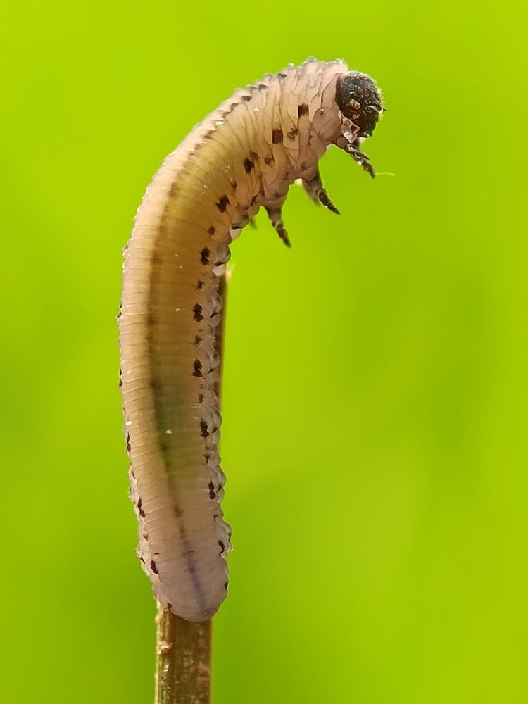 Photograph by Akirul Fahad