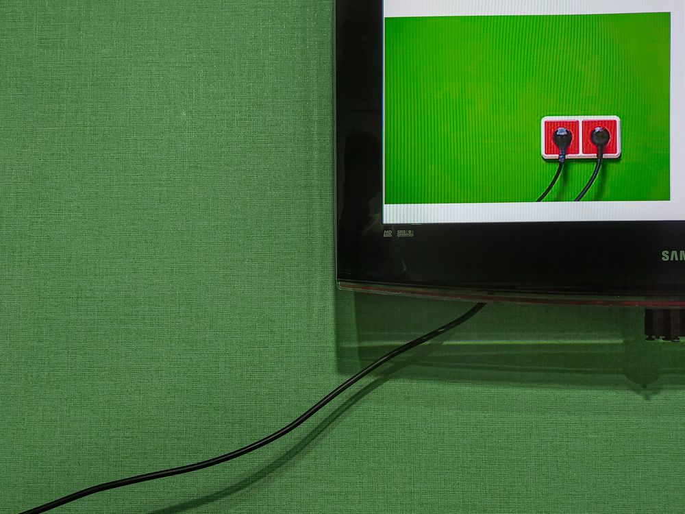 Photograph by Alireza Zaghian