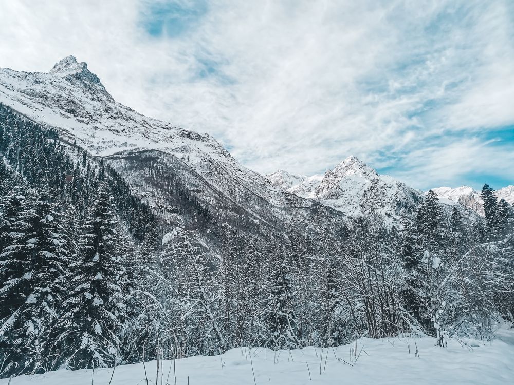 Фотография автора OXANA MARSOVA