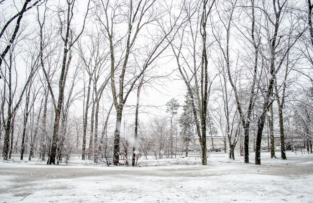 Photograph by Анна