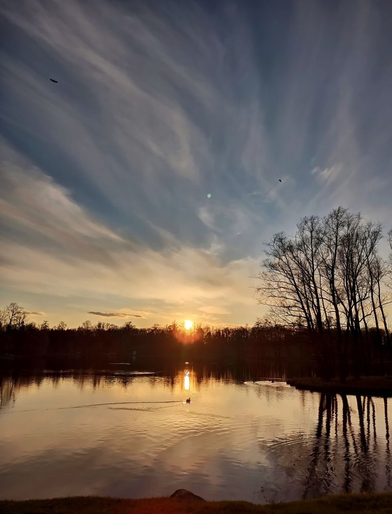 Photograph by Ксения Щеголева