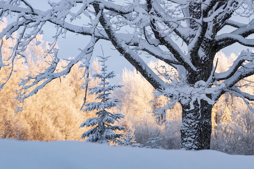 Photograph by Yana Raaga