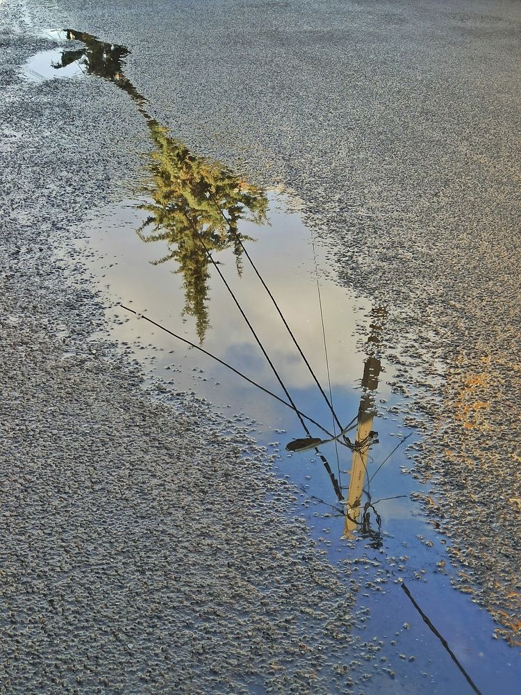 Фотография автора Pourya Darband Yourdshahi