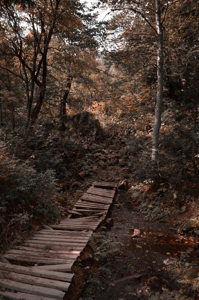 Photograph by Александр Лопатин