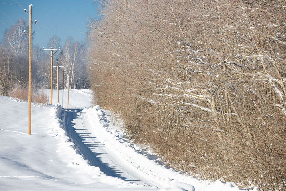 Photograph by Yana Raaga