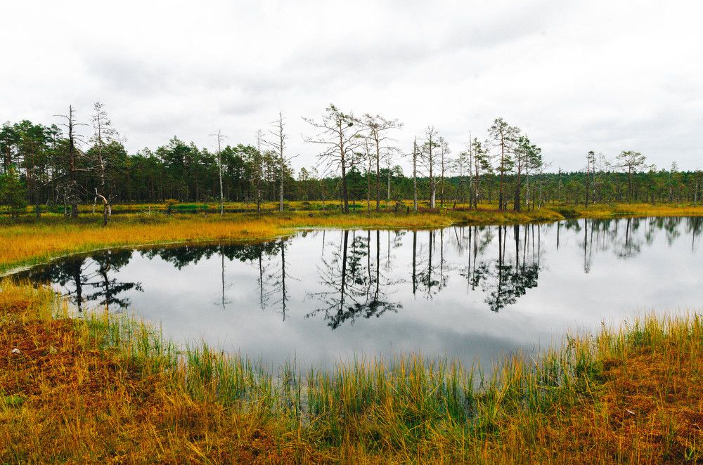 Photograph by Yana Karabut