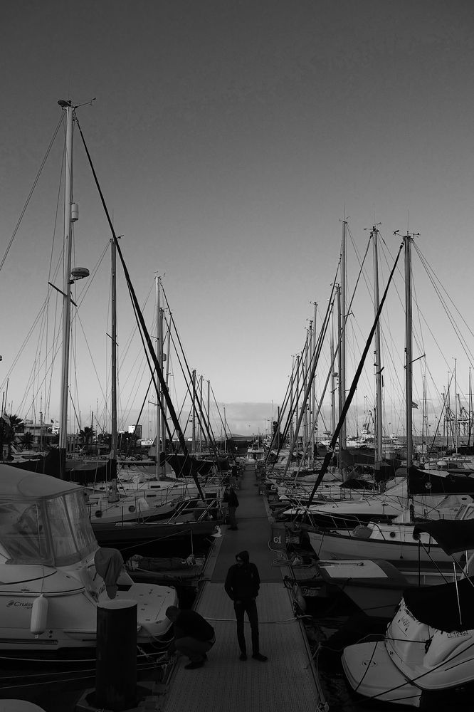 Cyprus marina