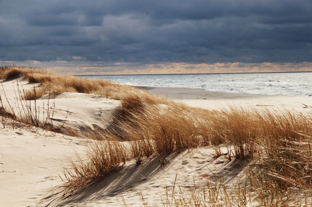 Photograph by Диана