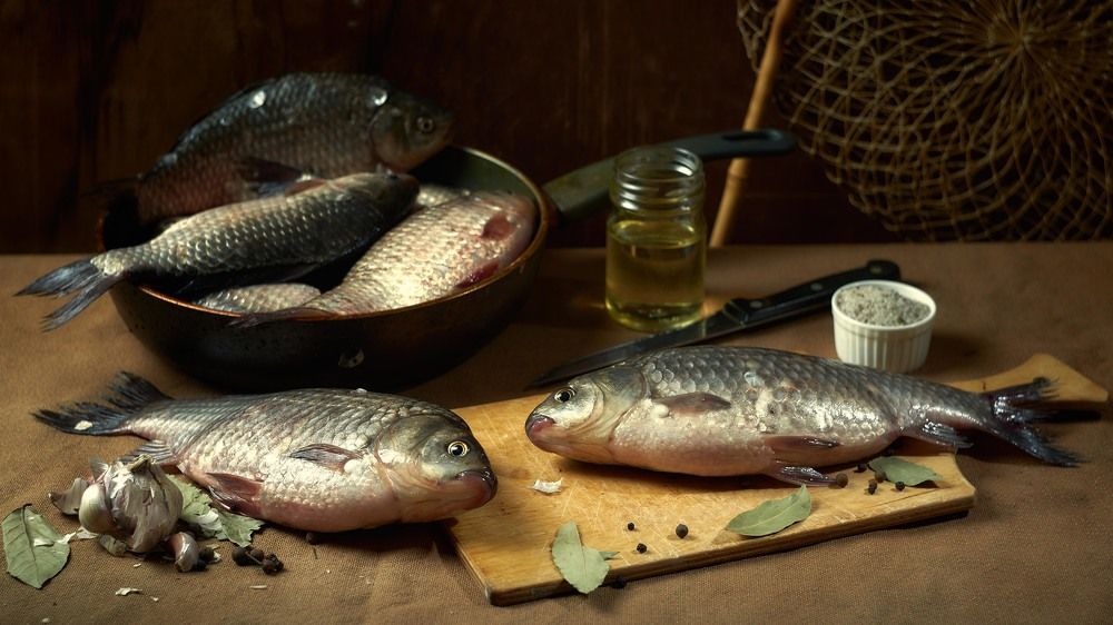 Фотография автора Вячеслав Владимирович