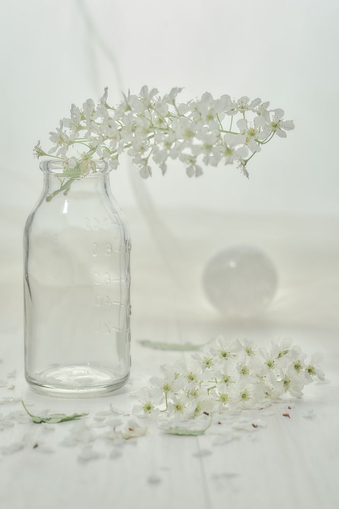 Фотография автора Вячеслав Владимирович