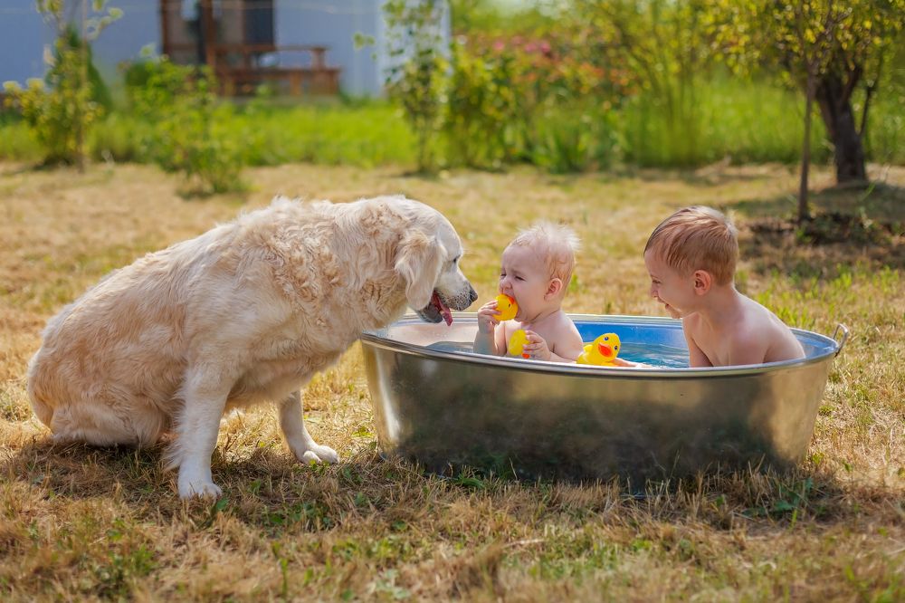 Летом на даче.