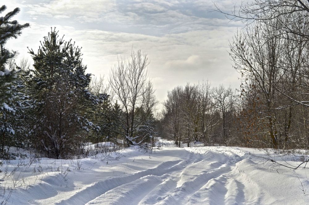 Photograph by Марина Магадиева