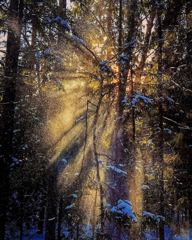 Photograph by Ирина Иванова