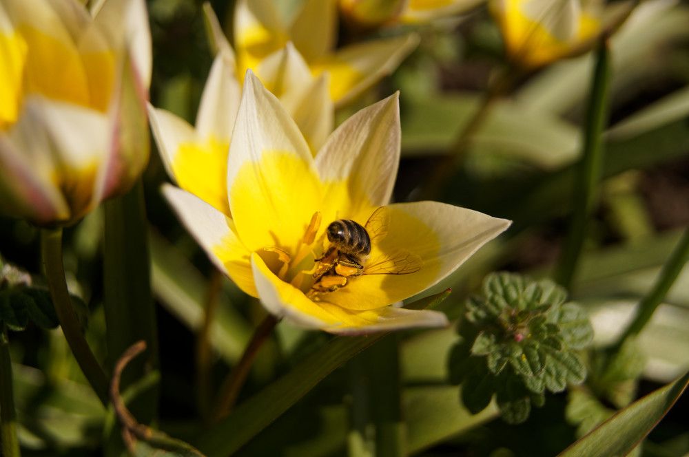 Photograph by Ольга Новикова