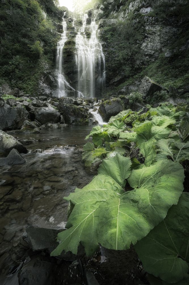 Photograph by edoardo orlandi