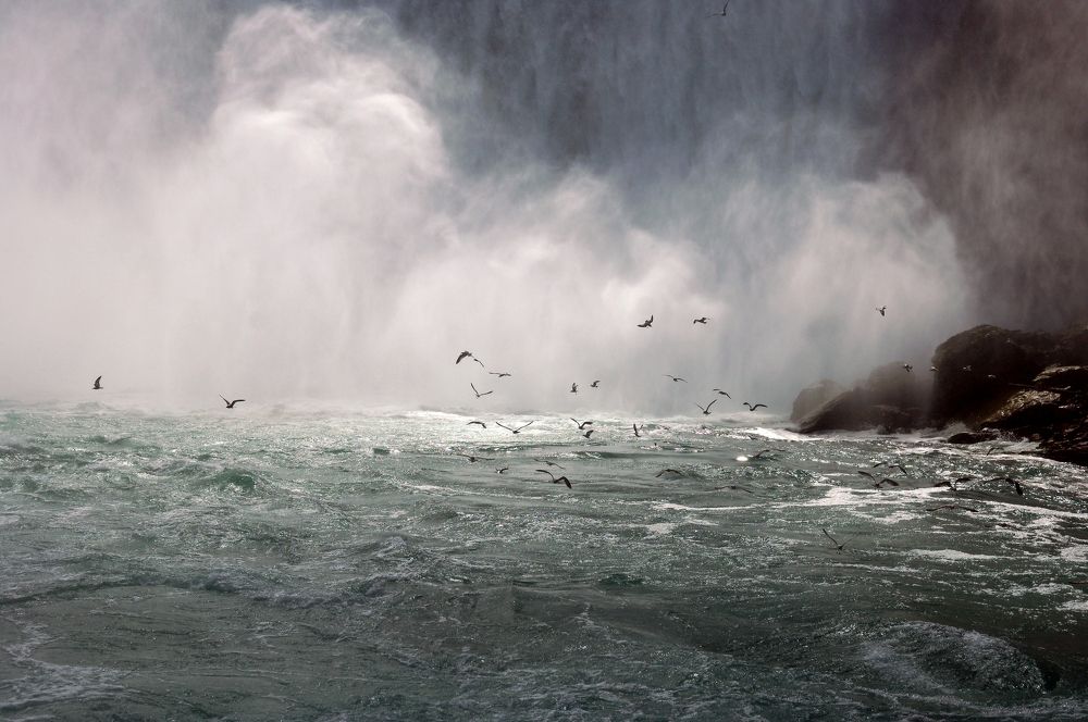 Фотография автора Сергей Фиданян