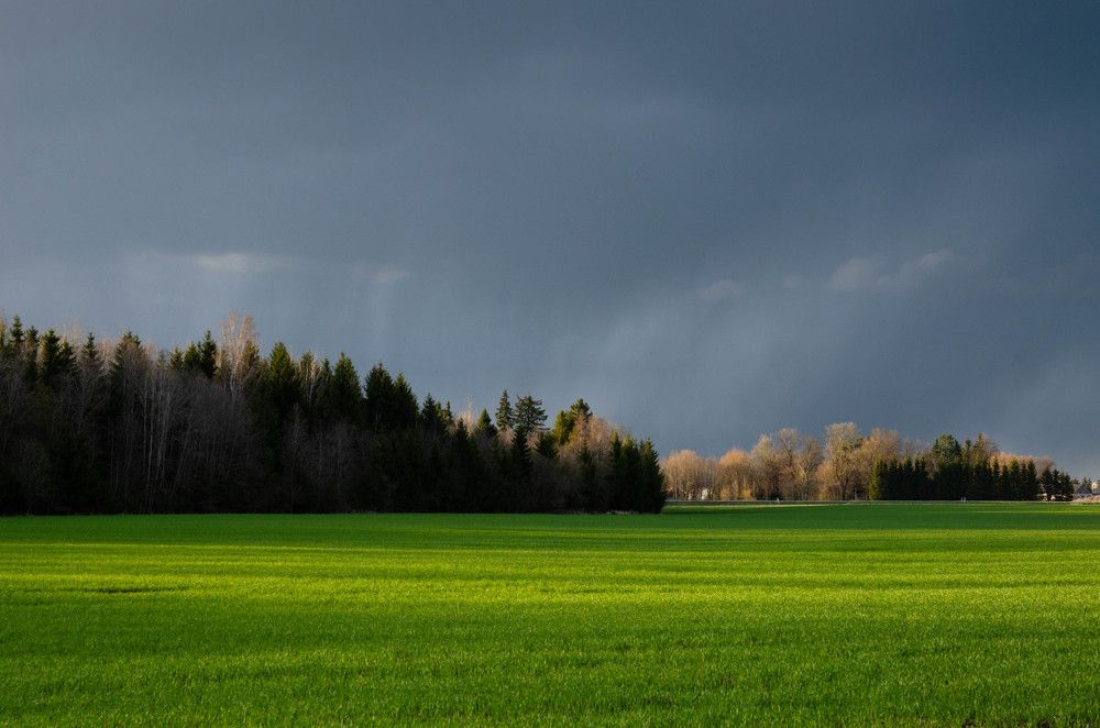 Photograph by Yana Karabut