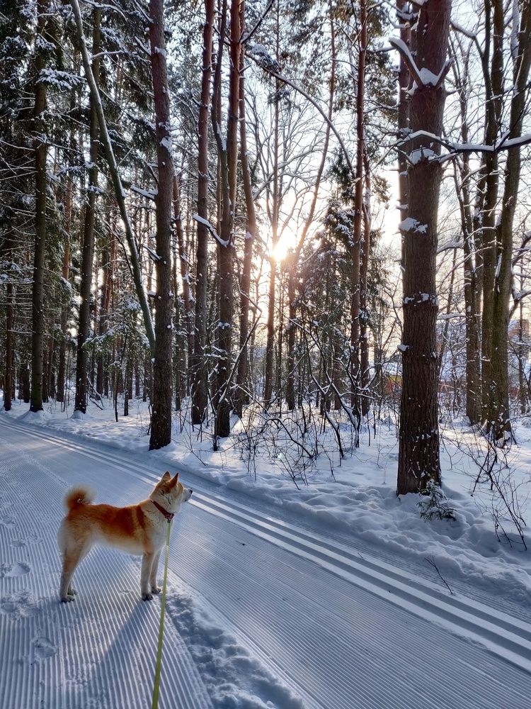 Photograph by Наталья Корнеева