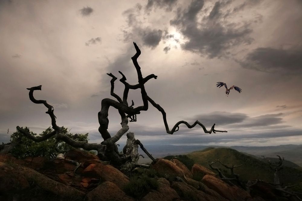 Photograph by Marat Magov