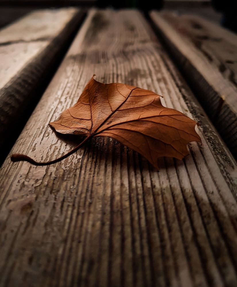 Photograph by sadouni zaki