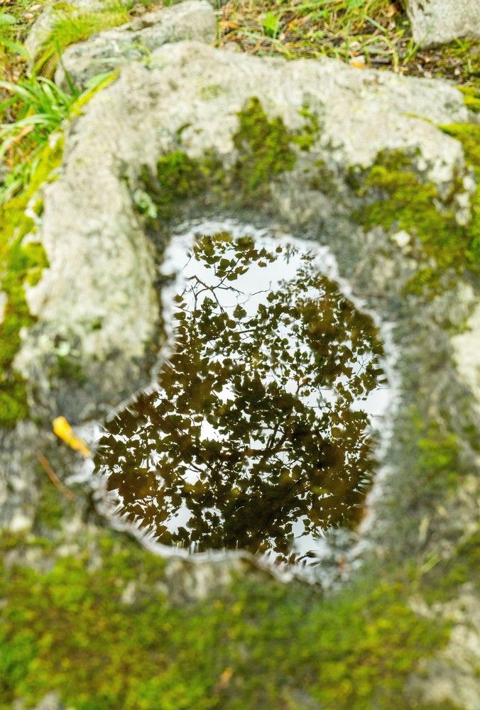 Фотография автора Михаил Кузнецов