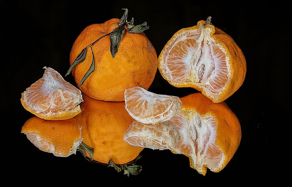 Photograph by Rui Santos