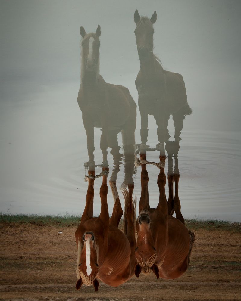 Photograph by Ислам Мирсаитов