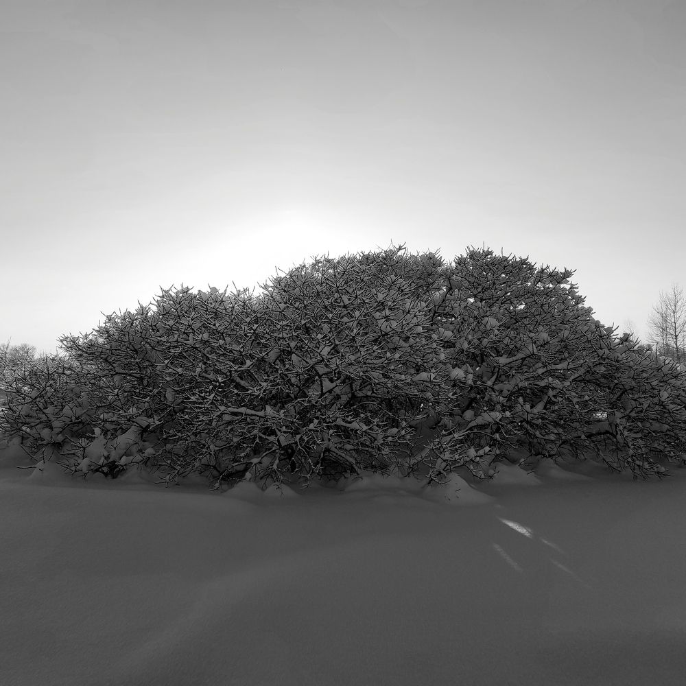 Photograph by Ирина Саттарова